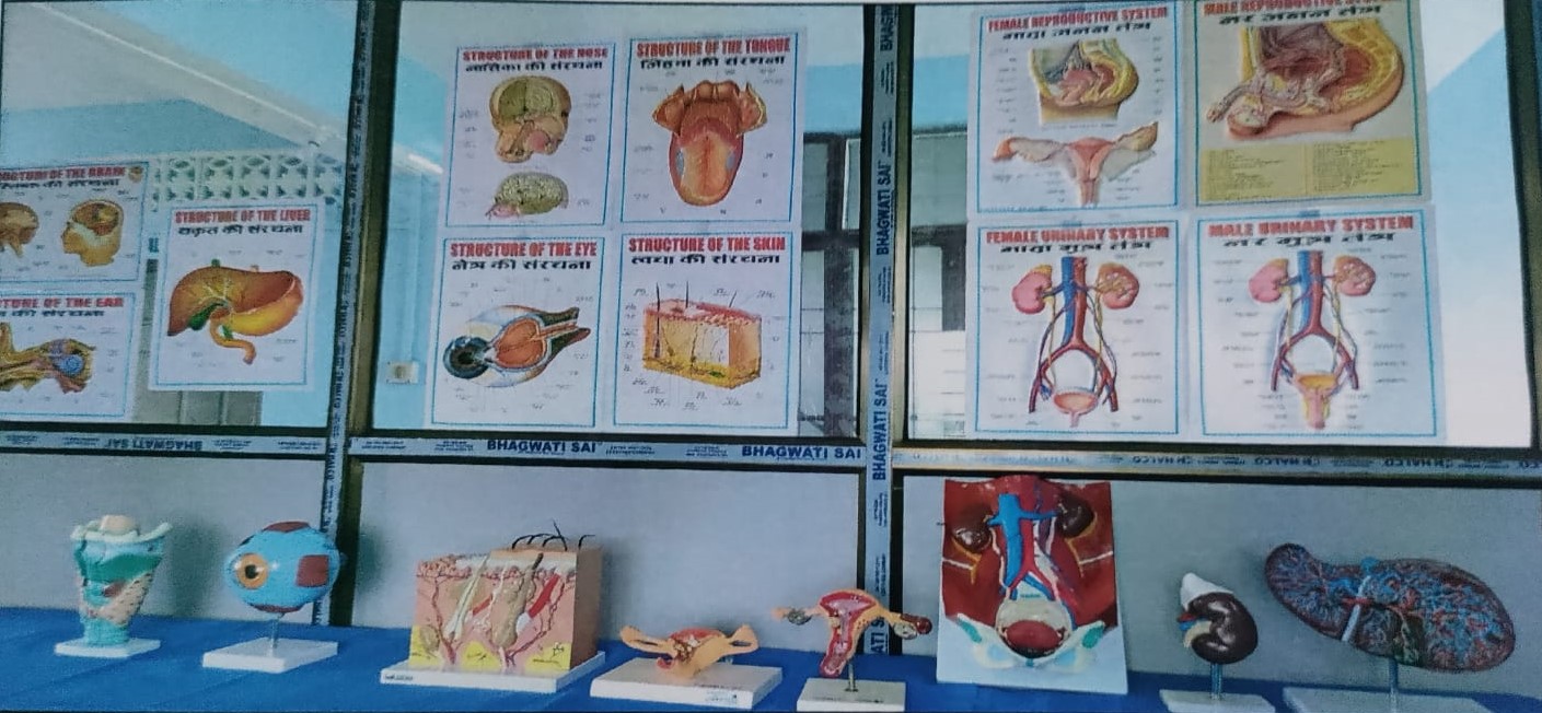 Pre Clinical Laboratory